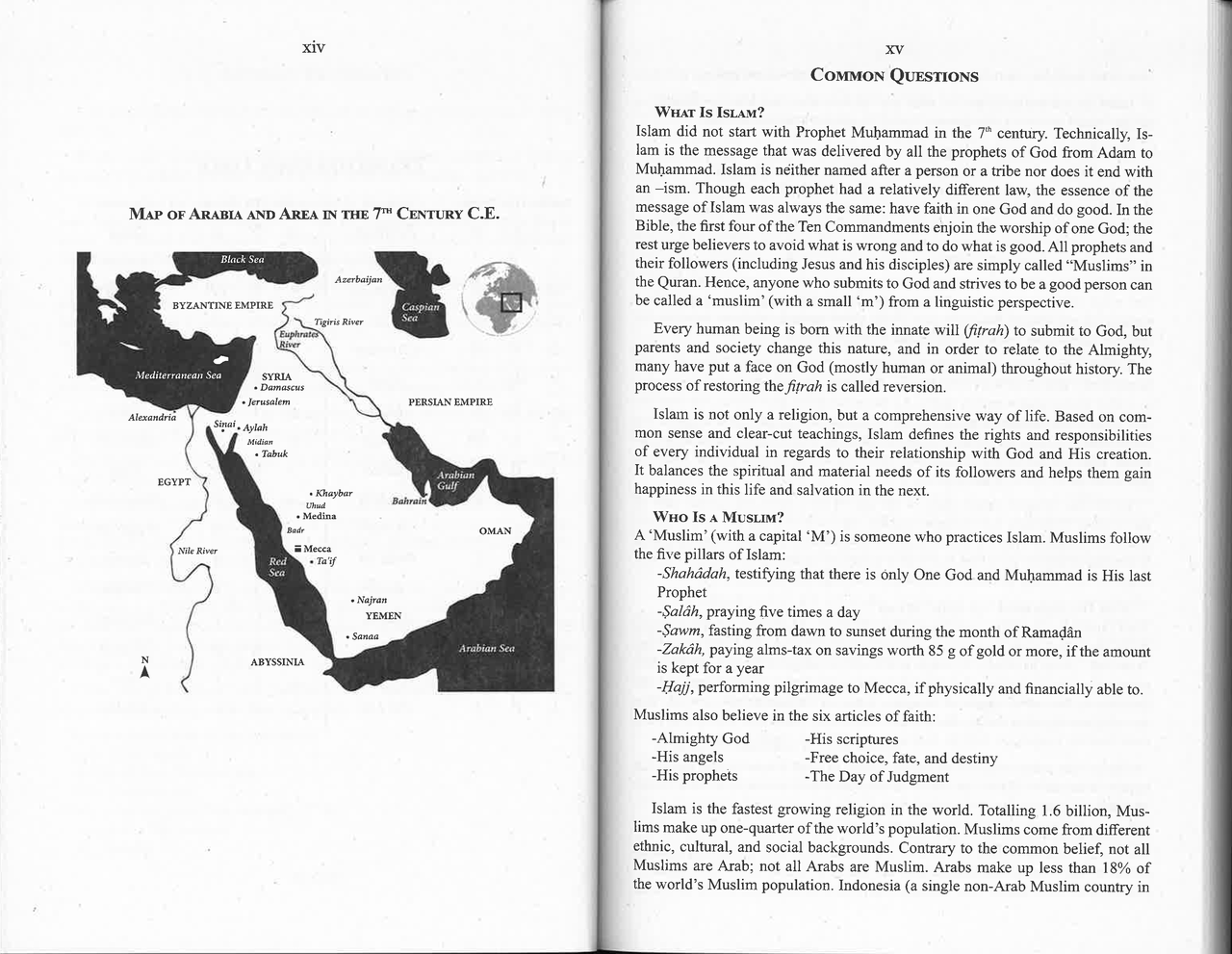 Bulk Orders: The Clear Quran® Series By Dr. Mustafa Khattab - 52 Copies