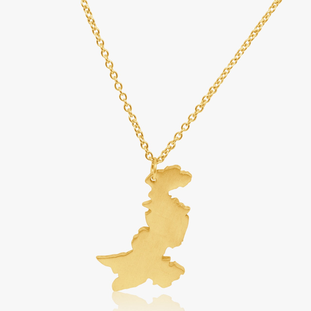Pakistan Map Necklace